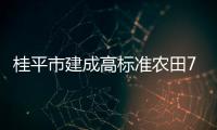 桂平市建成高標準農田74.69萬畝