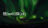 桅(wéi)擇(zé)什么情況?