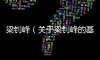 梁釗峰（關于梁釗峰的基本情況說明介紹）