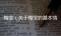 梅寶（關于梅寶的基本情況說明介紹）