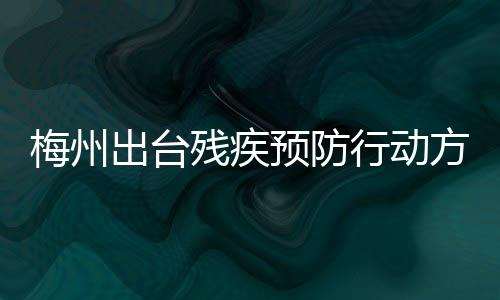 梅州出臺殘疾預防行動方案（2022—2025年），明確五大行動！