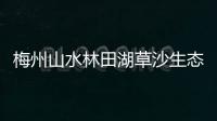 梅州山水林田湖草沙生態保護修復工程進展如何？戳進來看