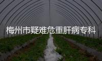 梅州市疑難危重肝病專科聯盟成立