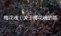 梅花魂（關于梅花魂的基本情況說明介紹）