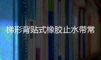 梯形背貼式橡膠止水帶常用的固定方法