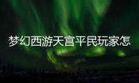 夢幻西游天宮平民玩家怎么加點