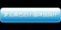 夢見黑色的小貓咪撓我什么意思？夢見黑色的小貓抓著我的手不放