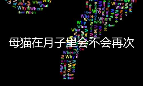 母貓在月子里會不會再次懷孕(母貓滿月多久可以再懷孕)