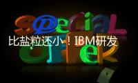 比鹽粒還小！IBM研發全球最小電腦 成本低于0.1美元