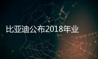 比亞迪公布2018年業績快報 營收超1300億元