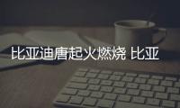 比亞迪唐起火燃燒 比亞迪：公司不用賠