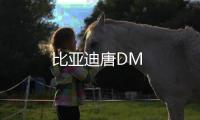 比亞迪唐DM