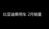 比亞迪乘用車 2月銷量90268新能源87473輛