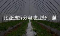 比亞迪拆分電池業務：謀獨立上市 痛失行業第一