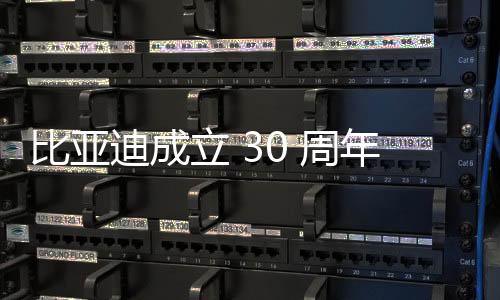 比亞迪成立 30 周年暨第 1000 萬輛新能源汽車下線發(fā)布會（視頻）