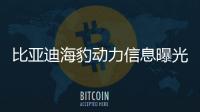 比亞迪海豹動力信息曝光 提供3種版本