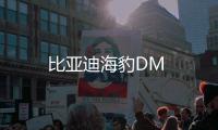 比亞迪海豹DM