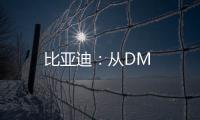 比亞迪：從DM