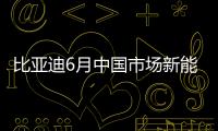 比亞迪6月中國市場新能源乘用車銷量冠軍