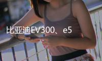 比亞迪EV300、e5上市 爭議告一段落