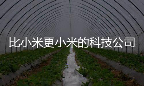 比小米更小米的科技公司