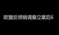 歐盟反傾銷調查立案后60天到9個月作出初裁,行業資訊