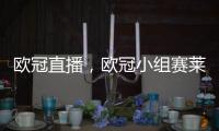 歐冠直播，歐冠小組賽萊比錫雙殺紅星提前出線