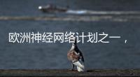 歐洲神經網絡計劃之一，致力于研究神經網絡芯片的新平臺