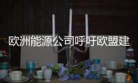 歐洲能源公司呼吁歐盟建新核電廠應對高油價