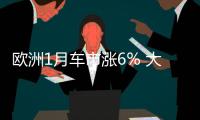 歐洲1月車市漲6% 大眾失份額JLR漲五成