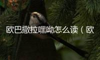 歐巴撒拉嘿呦怎么讀（歐巴撒拉嘿喲是什么意思）