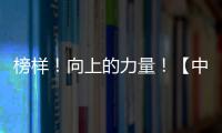 榜樣！向上的力量！【中楹榜】2022建材網(wǎng)品牌優(yōu)選計(jì)劃榮 耀揭榜！