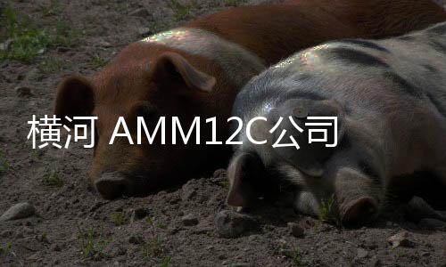 橫河 AMM12C公司資訊