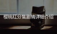 櫻桃紅分集劇情詳細(xì)介紹(1