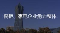 櫥柜、家電企業角力整體廚房