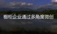 櫥柜企業通過多角度微創新打造戰略新品