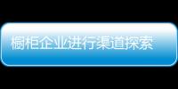 櫥柜企業進行渠道探索 物流是電商發展短板