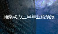 濰柴動力上半年業績預報：凈利潤超62億元 大增60%