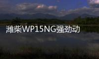 濰柴WP15NG強勁動力，開啟向上人生！