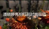 潘曉婷亮相紅毯時尚吸睛 意外獲粉絲高調(diào)告白