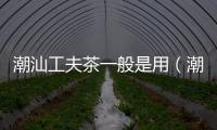 潮汕工夫茶一般是用（潮汕工夫茶一般是用( )）