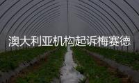 澳大利亞機構起訴梅賽德斯淡化氣囊風險