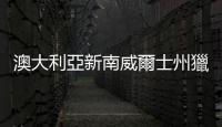 澳大利亞新南威爾士州獵人谷多處起火　過火面積超600公頃