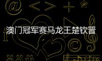 澳門冠軍賽馬龍王楚欽晉級 林詩棟2比3張本智和