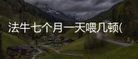 法牛七個(gè)月一天喂幾頓(法牛七個(gè)月幾斤才正常)