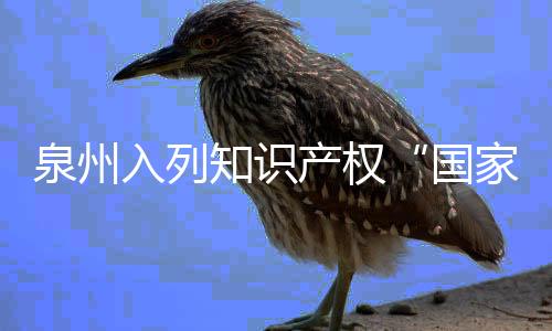 泉州入列知識產(chǎn)權“國家隊” 將獲中央財政支持