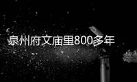 泉州府文廟里800多年前的碑石 講述泉州廟學變遷