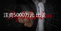 注資5000萬元 比亞迪在南寧成立電池公司