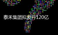 泰禾集團擬發(fā)行120億元公司債券 期限不超過5年