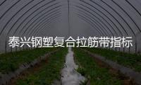 泰興鋼塑復合拉筋帶指標